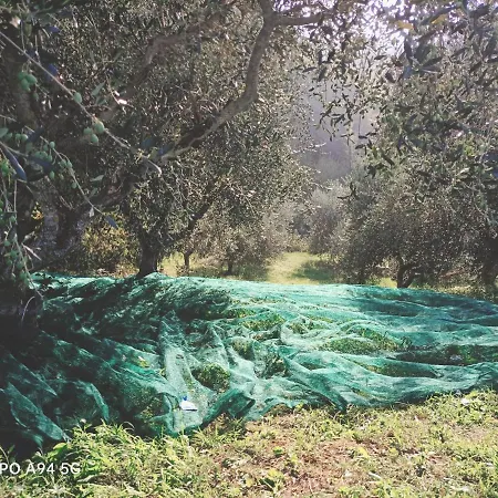 Mulino Del Duca Ουρμπίνο