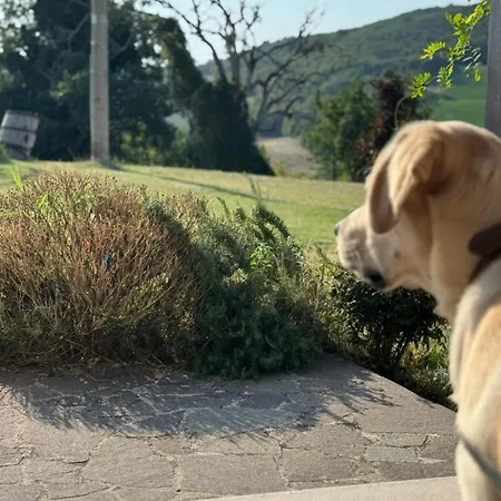 Mulino Del Duca Διαμέρισμα