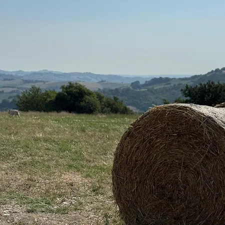 Mulino Del Duca Διαμέρισμα